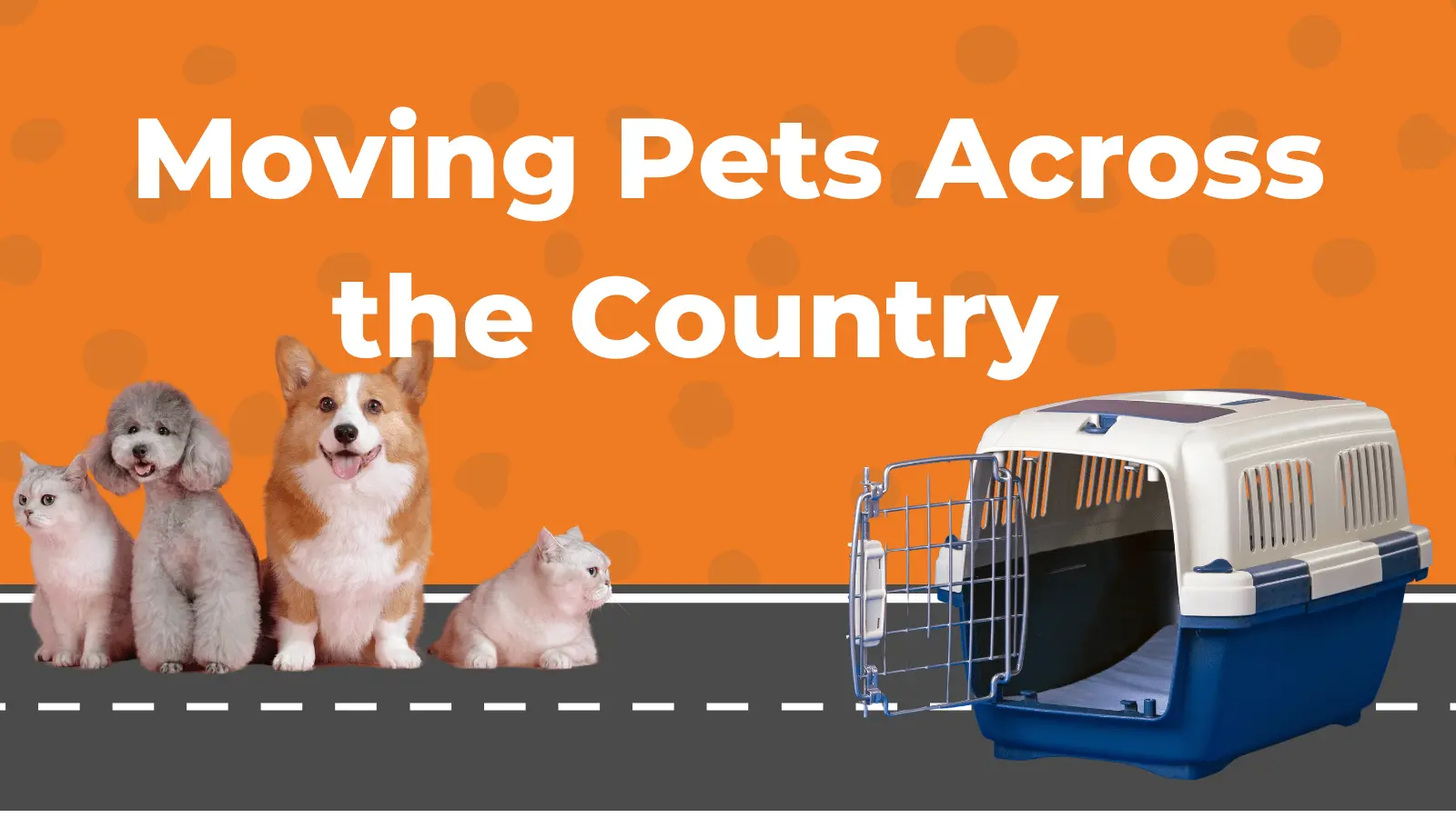 How to Move Pets Across the Country